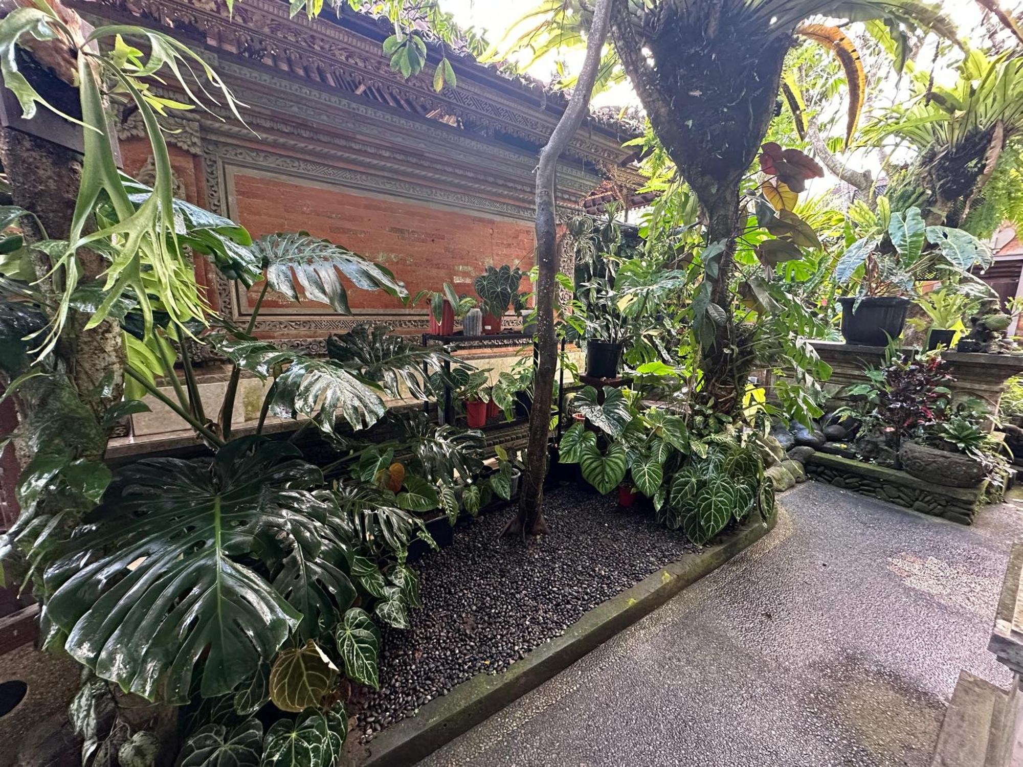 Naeera Guest House ウブド エクステリア 写真