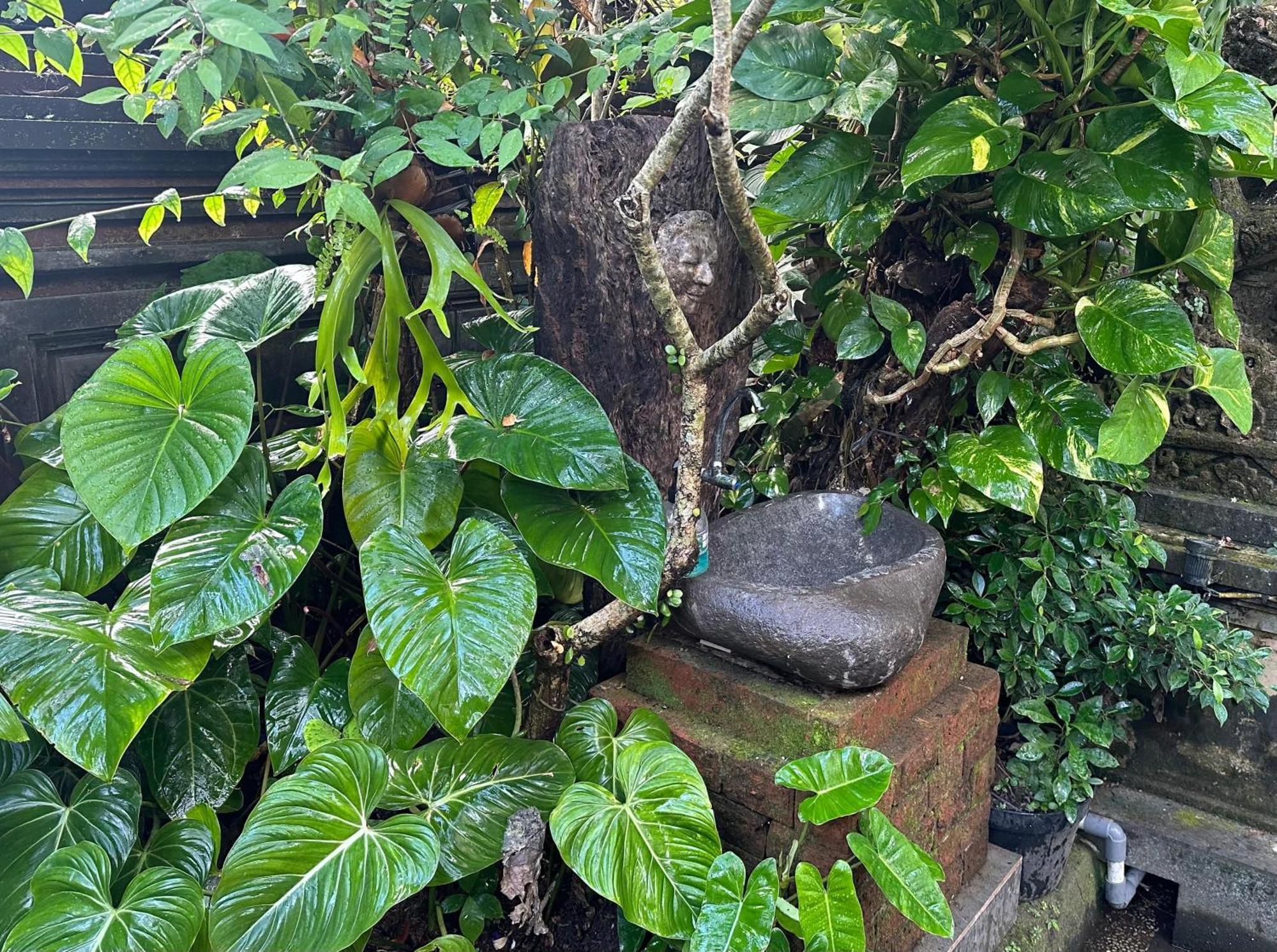 Naeera Guest House ウブド エクステリア 写真